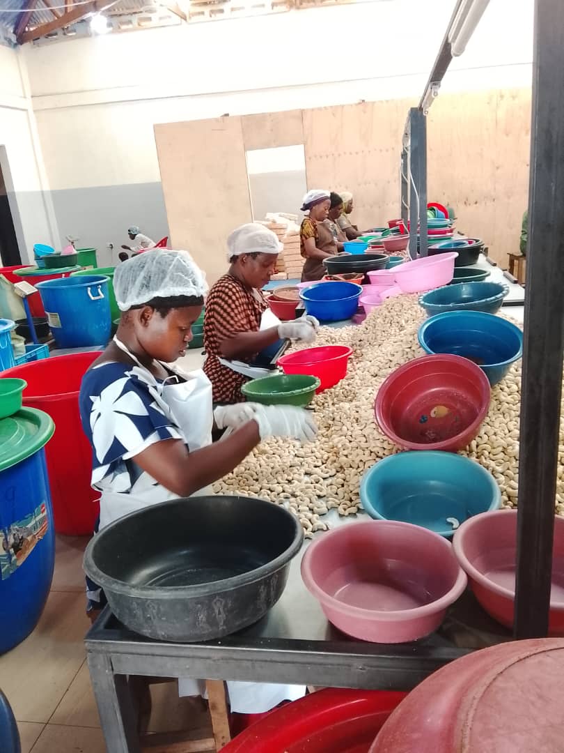 East Africa's agricultural export outlook for the next decade