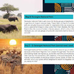 8-daysTanzania-holiday-1