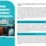 9-trangarire-serengeti-ngorongoro